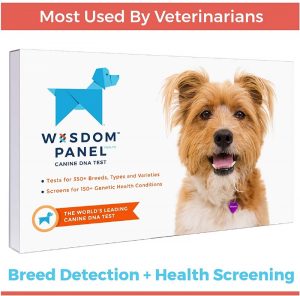Wisdom Panel Canine DNA Test